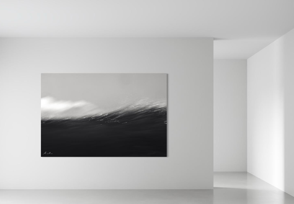 BLACK & WHITE COLLECTION